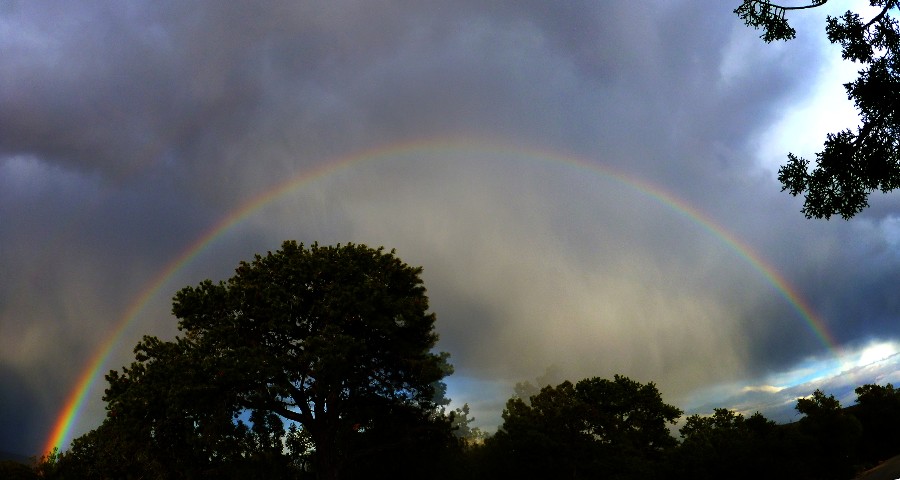 Pano of a rainbow on Cedar Mesa