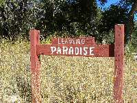 Paradise Not
