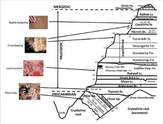 Simplified stratigraphic section