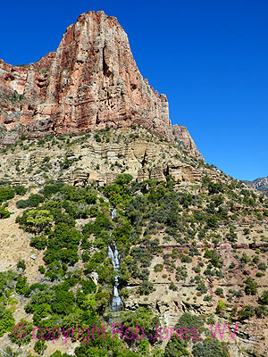 Movie:  Roaring Springs along the North Kaibab Trail, 41mb, Day 6