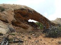 Cove Arch