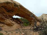 Cove Arch