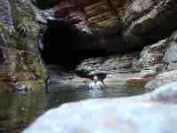 Rob in the Susurrus pool