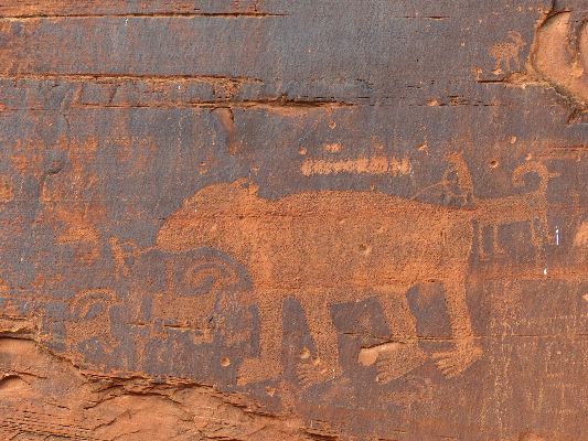 Bufous Bear Petroglyph along the Colorado River - Day 2