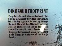 Dino Footprint - description
