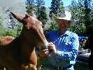 Genuine Idaho Cowboy, Joe B