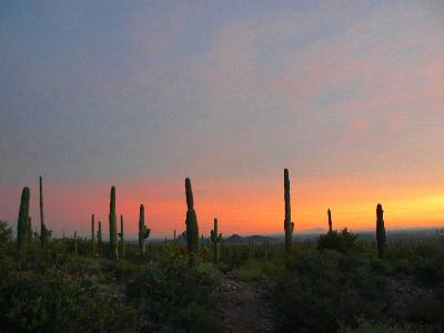 Tequila Sunset - It's sunset in the Super Superstition Wilderness