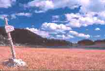 Meadow near Round Lake