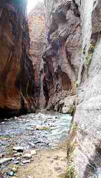 In the Cathedral of The Zion Narrows - it's a tall  panorama